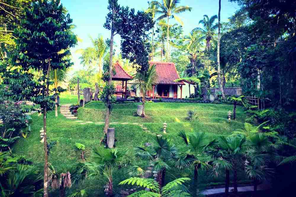 Govinda Villas di tengah sawah