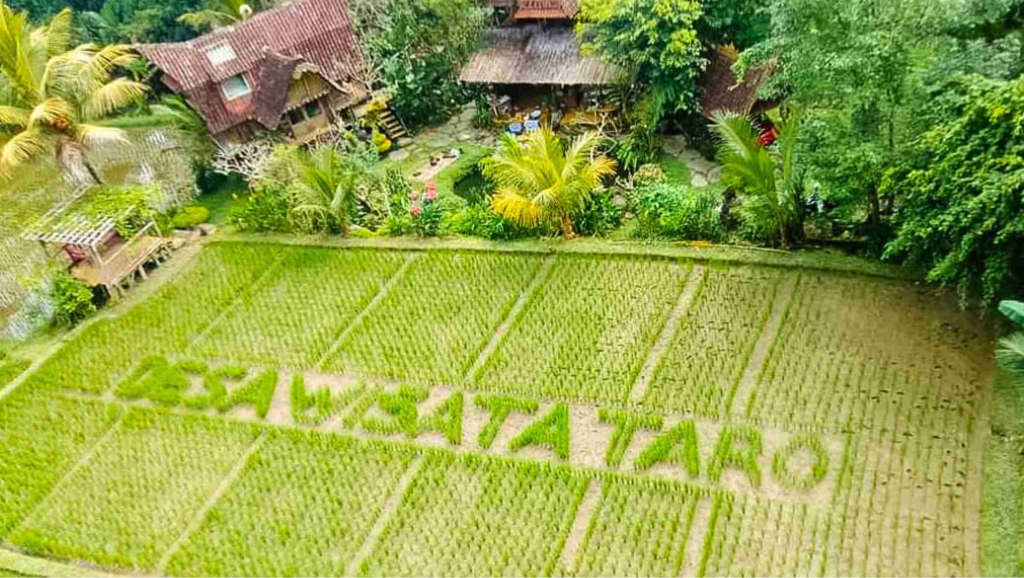 Paket Desa Wisata Taro
